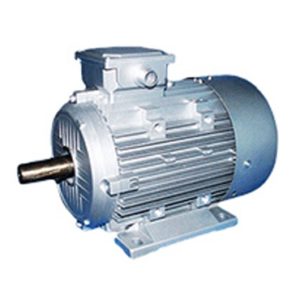 full_Ele.-Motor-2-HP-ISI1
