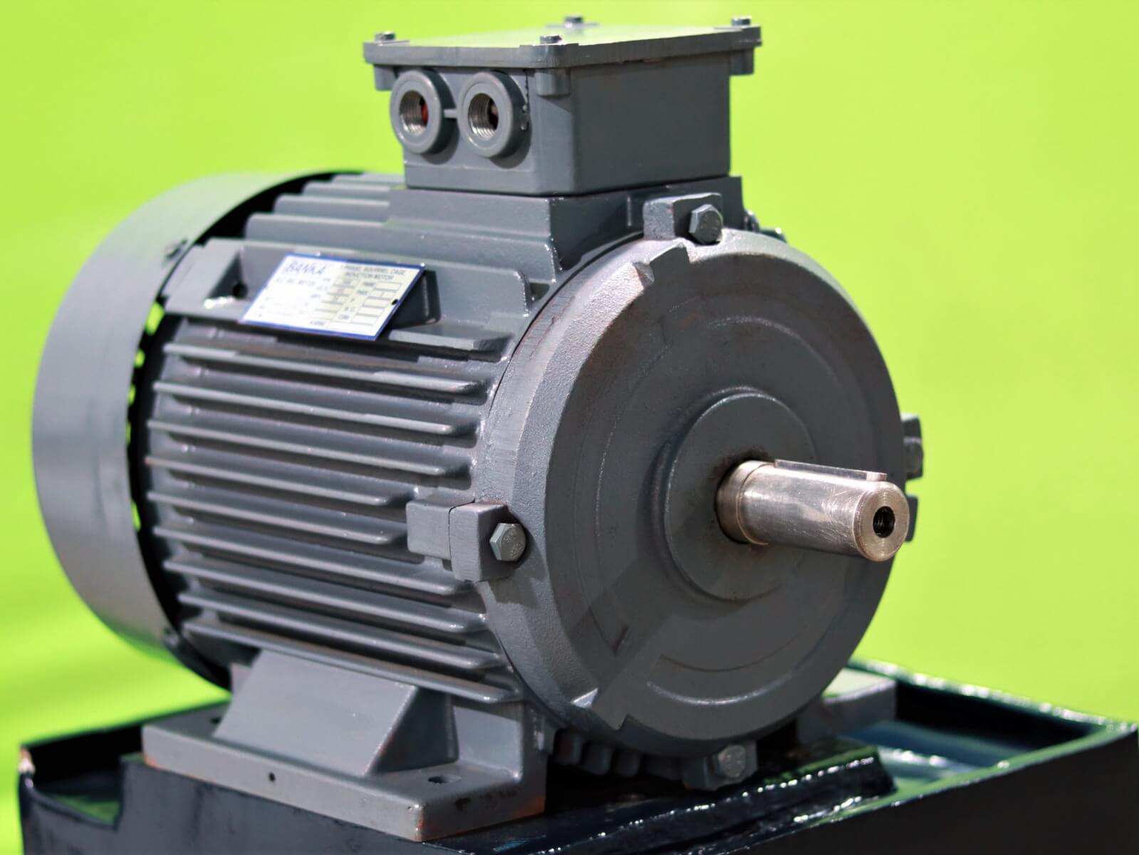 Electric Motor 2/3/5 HP Standard ISI - Banka Machine